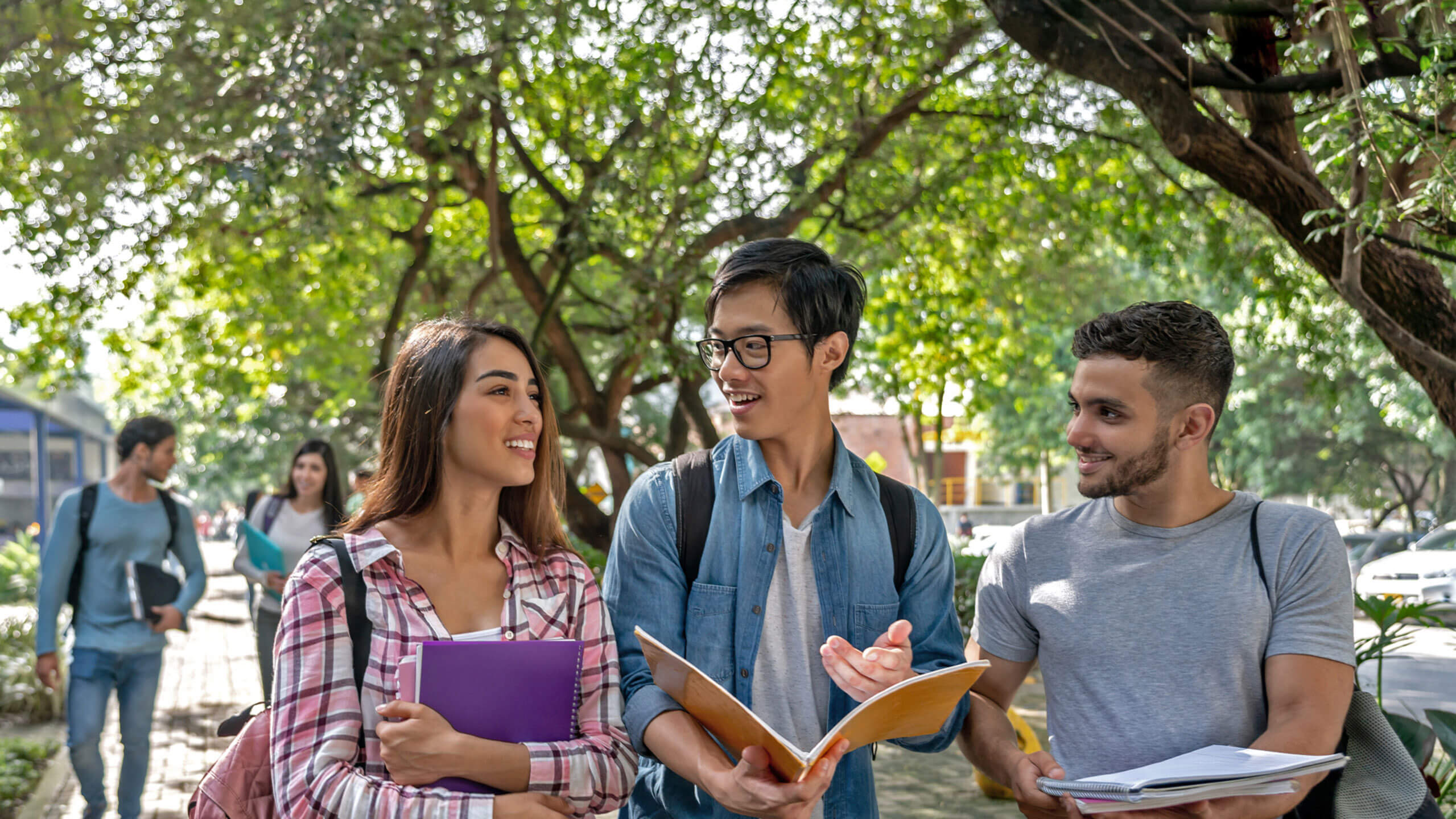 Is studying abroad in Singapore a government school or an international school?